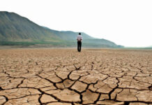 El cambio climático disminuye las especies en los trópicos