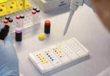 Crean células que evaden el sistema inmunológico para tratar la diabetes