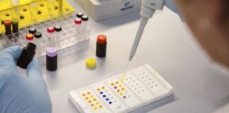 Crean células que evaden el sistema inmunológico para tratar la diabetes