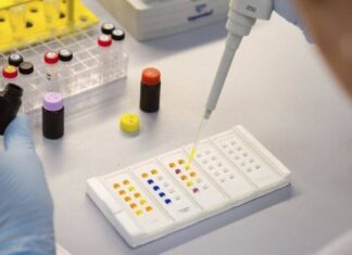 Crean células que evaden el sistema inmunológico para tratar la diabetes