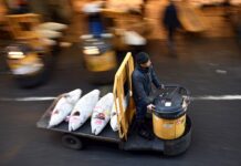 La ciudad china de Cantón suspende la importación de congelados tras tres positivos canton china