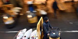 La ciudad china de Cantón suspende la importación de congelados tras tres positivos canton china