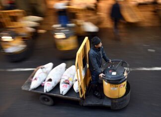 La ciudad china de Cantón suspende la importación de congelados tras tres positivos canton china