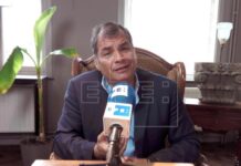 Designan a Rafael Correa como candidato a vicepresidente de Ecuador Rafael Correa