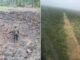 Honduras ha destruido 11 pistas clandestinas usadas para narcotráfico en 2021