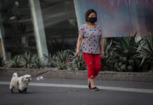 Los casos de coronavirus a nivel mundial alcanzan los 28,3 millones perro