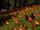 Realizan emotivo homenaje a víctimas del coronavirus en España españa covid