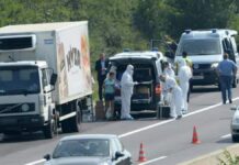 Encuentran a 43 refugiados al borde de la asfixia en un camión en Austria