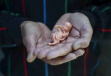 Iglesia de México critica inédito fallo del aborto en la Corte por «machista»