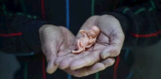 El aborto, prohibido o limitado en la mayor parte de América Latina