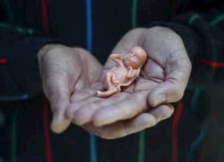La ley del aborto se debatirá este jueves en el Congreso argentino