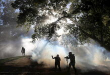 Antártida chilena vive el invierno más caluroso de las últimas tres décadas