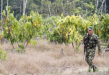 El asesinato de una mujer por un soldado aumenta la tensión social en Colombia