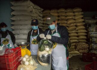 Agricultores de Guatemala innovan y elevan ingreso con comercio en línea