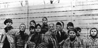 Mayoría de milenials y Gen Z desconoce que 6 millones murieron en Holocausto