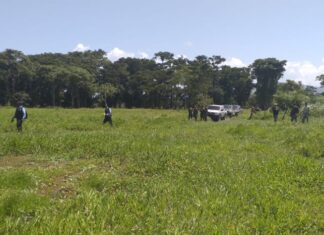 Fiscales del Litoral Atlántico reporta nuevas detenciones, acusaciones y procesamientos
