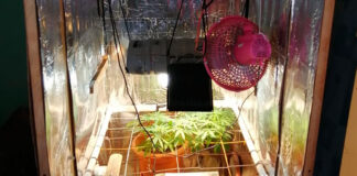 Allanamientos contra distribuidores de drogas en Santa Rosa de Copán