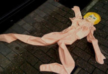 Piden prohibir la venta de muñecas sexuales con aspecto infantil en EE.UU.