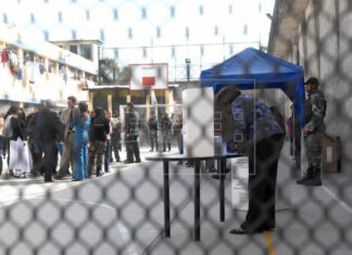 MTV y Comedy Central pagan multas de exreos en Florida para que puedan votar