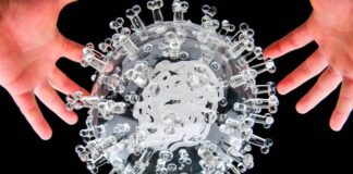 Describen cómo un tipo de virus evade la activación de la respuesta inmune