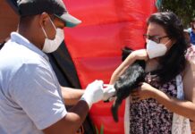Salud celebra el Día Mundial de la lucha contra la Rabia gato