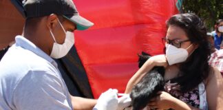Salud celebra el Día Mundial de la lucha contra la Rabia gato