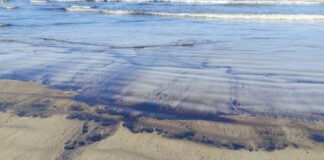 Derrame de petróleo produce daño ambiental en el noroeste de Venezuela