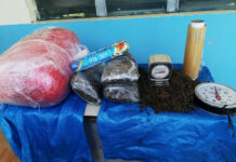 Se decomisa sacos de supuesta marihuana en Colón