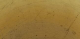 Encuentran una coral dentro de una vivienda y reciben «tremendo susto» cortesía de Maya Tv