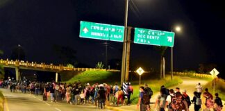 COVID-19 no frena migración de hondureños a EE.UU.