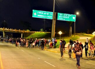 COVID-19 no frena migración de hondureños a EE.UU.