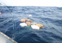 Unos 32.709 kilos drogas fueron decomisados en año fiscal 2020 en el Caribe