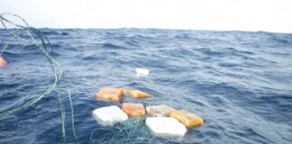 Unos 32.709 kilos drogas fueron decomisados en año fiscal 2020 en el Caribe