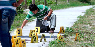 Suman 240 personas asesinadas en este 2020 masacres