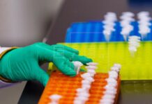 Descubren el mecanismo que deshace los nudos de las moléculas de ADN