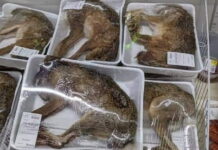 Crítican supermercado francés por vender animales enteros en bandejas