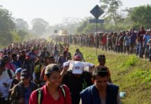 ONG salvadoreña espera que Biden aborde «urgentemente» el tema migratorio