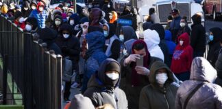 Millones ignoran una pandemia fuera de control en EE. UU. ante Acción de Gracias