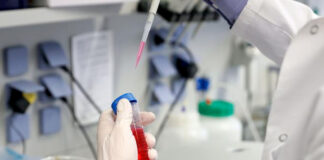 Vacuna danesa funciona en animales contra variante mutada de coronavirus