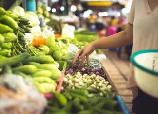 Expertos resaltan contribución de la biotecnología a la alimentación mundial