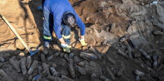 Halladas 15.000 balas de cañón de la Primera Guerra Mundial en Macedonia