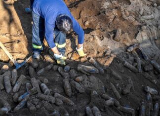 Halladas 15.000 balas de cañón de la Primera Guerra Mundial en Macedonia