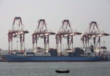 Chile investiga presencia de SARS-CoV-2 en un envase de marisco enviado a China chile