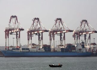 Chile investiga presencia de SARS-CoV-2 en un envase de marisco enviado a China chile