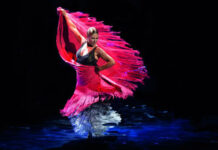 Cancelan definitivamente la XX edición del Festival de Flamenco de Nueva York