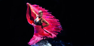 Cancelan definitivamente la XX edición del Festival de Flamenco de Nueva York