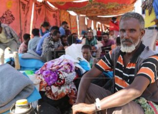 Al menos 600 civiles muertos en una masacre cometida en la guerra de Tigray
