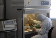 Cáncer de próstata, el más letal y silencioso y el menos prevenible