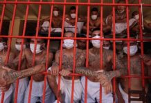 Autoridades de El Salvador capturan a más de 600 pandilleros, según Gobierno
