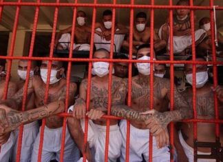 Autoridades de El Salvador capturan a más de 600 pandilleros, según Gobierno